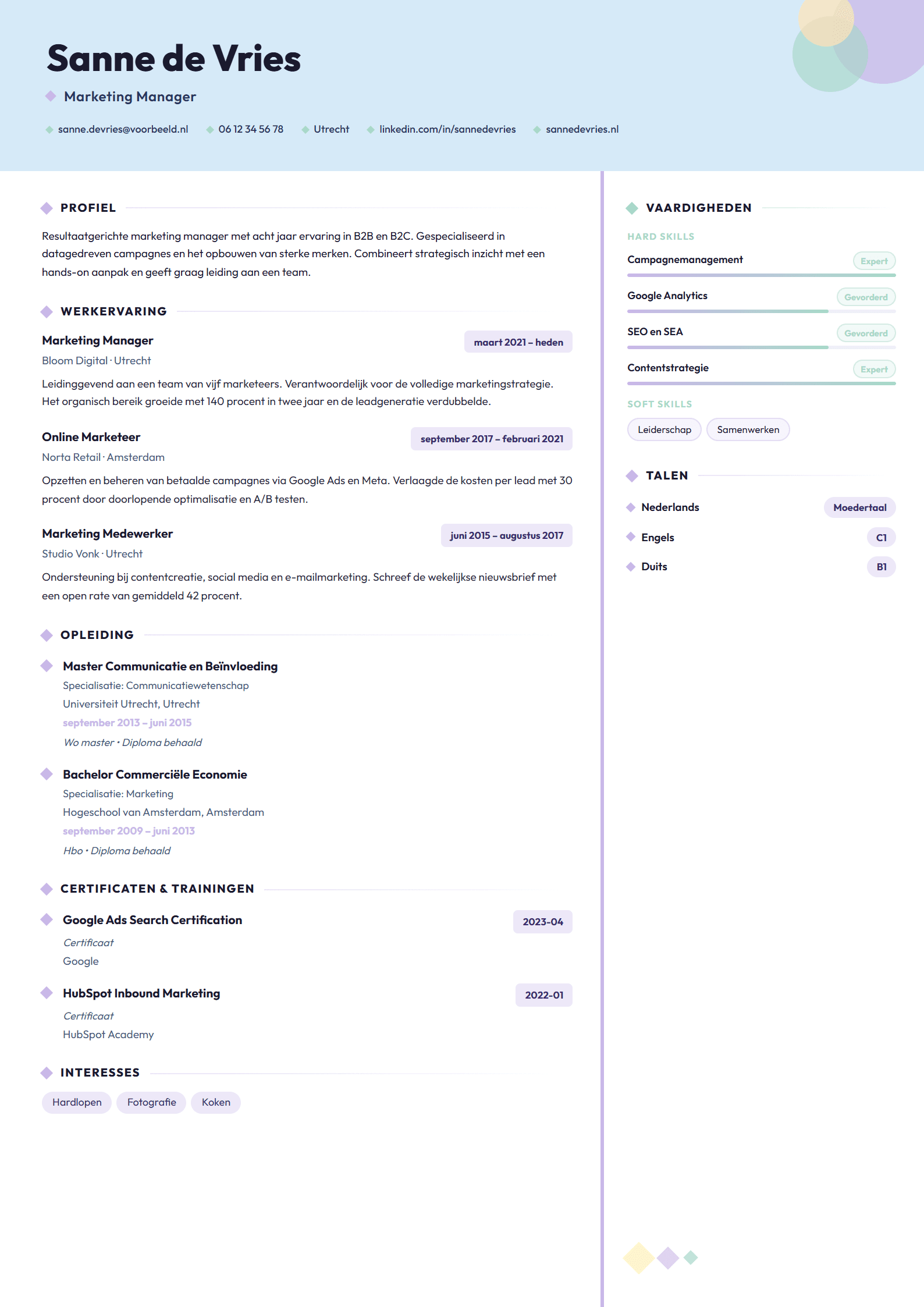 Voorbeeld van het Creative CV template met een onderscheidend design