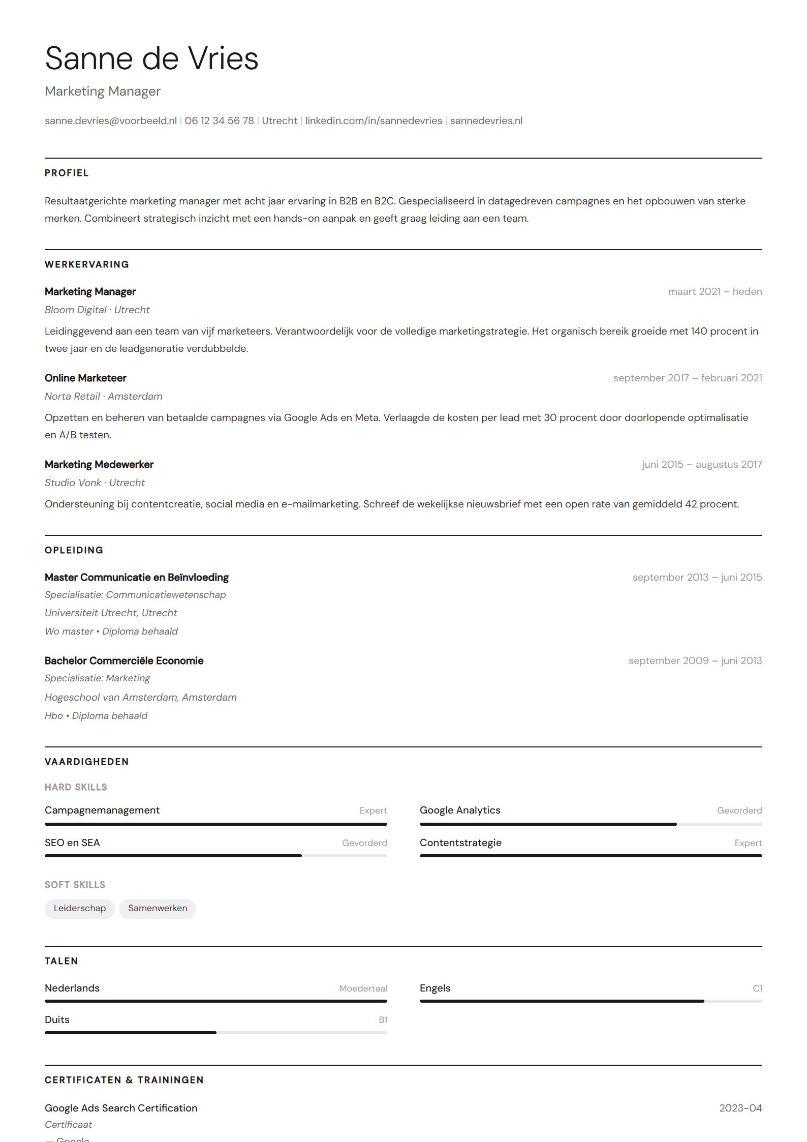 Voorbeeld van het Minimal CV template met een rustige, overzichtelijke opmaak