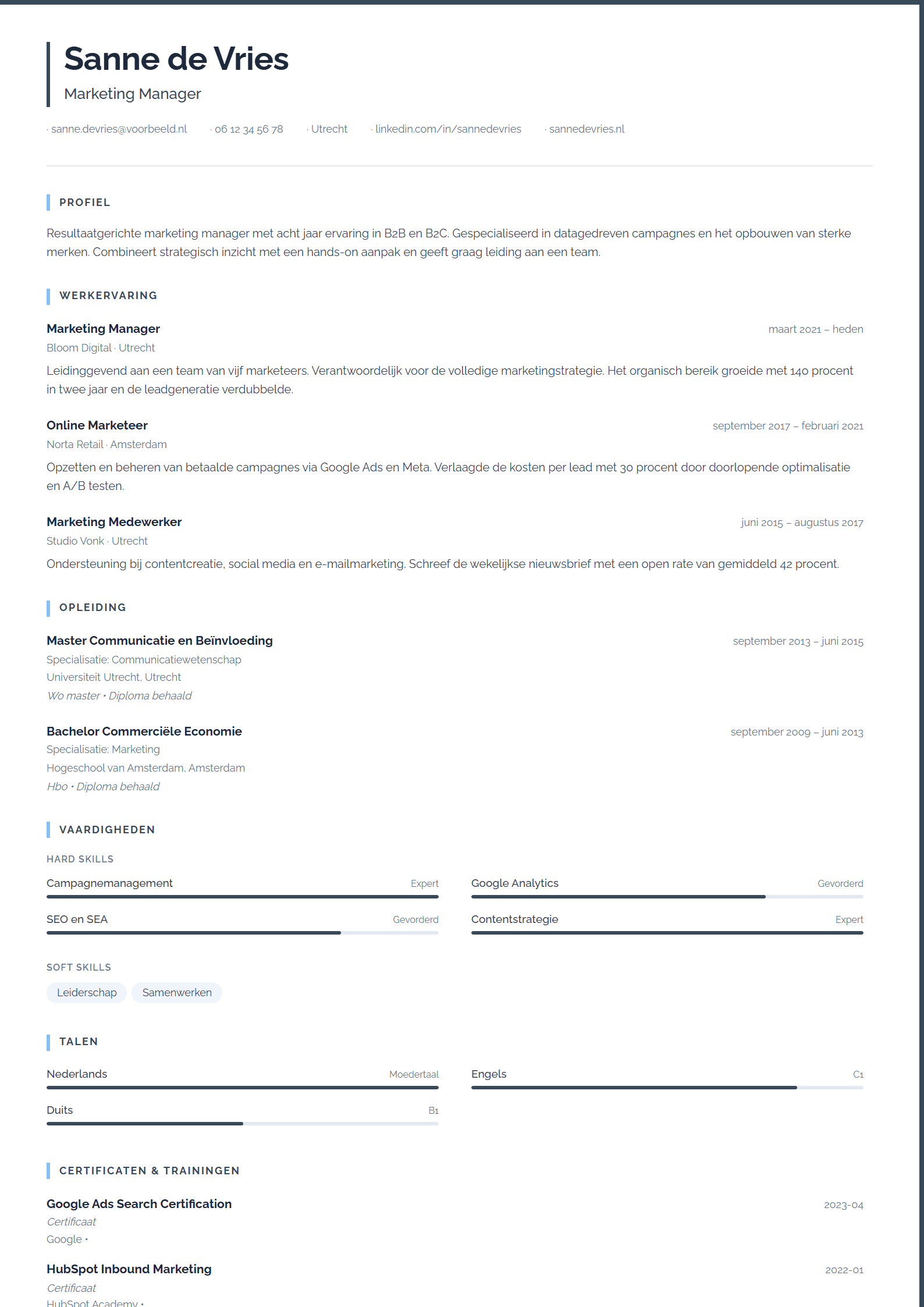 Voorbeeld van het Professional CV template met een zakelijke opmaak